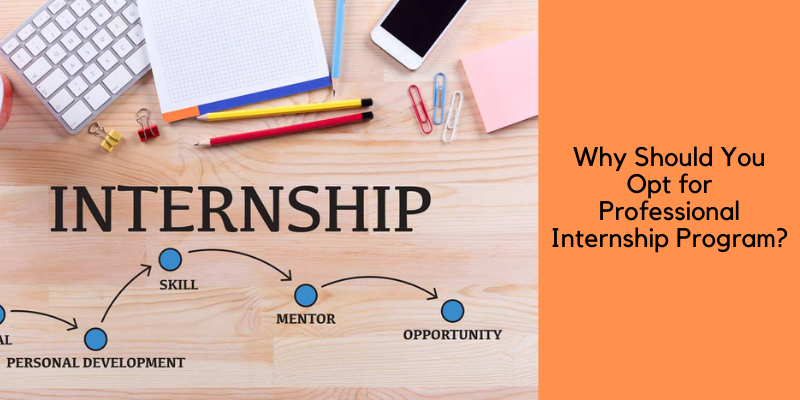 Opt for Professional Internship Program