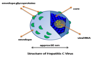 Harvoni, a medication for HCV