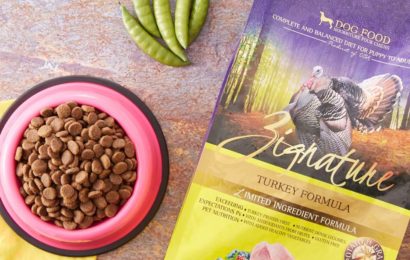 Dog Food With Salmon- Can You Choose It For Your Pet
