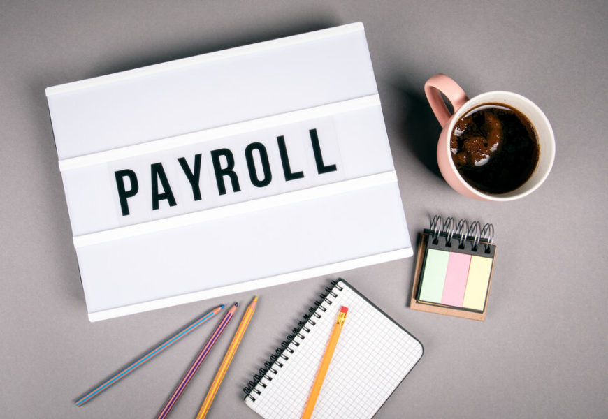 How employee self- service features in Payroll Software help?