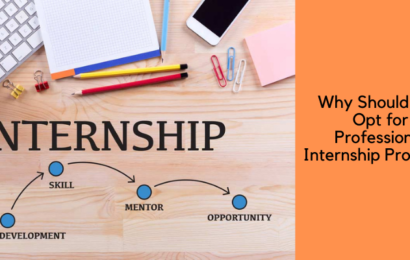 Why Should You Opt for Professional Internship Program?