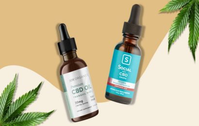 Beginning with CBD Oil Products