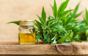 Best Quality CBD Oil for Online Business Opportunity