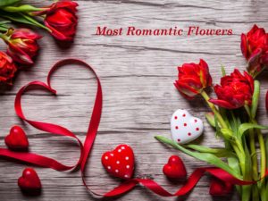 The Best Romantic Flowers