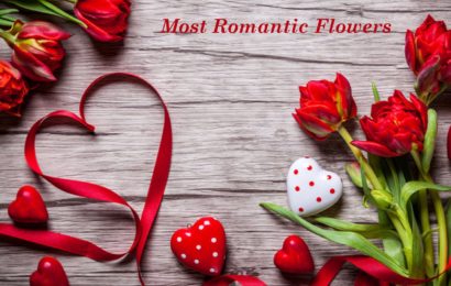 The Best Romantic Flowers