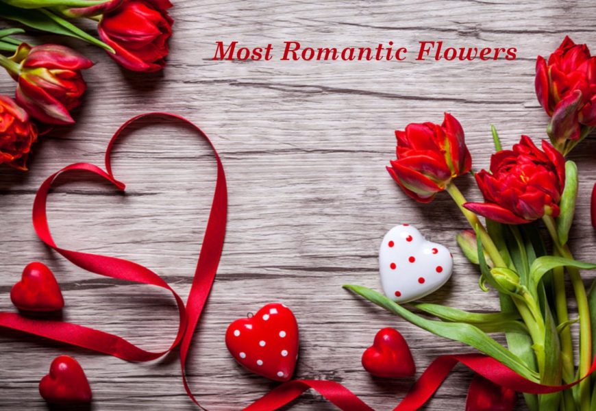 The Best Romantic Flowers