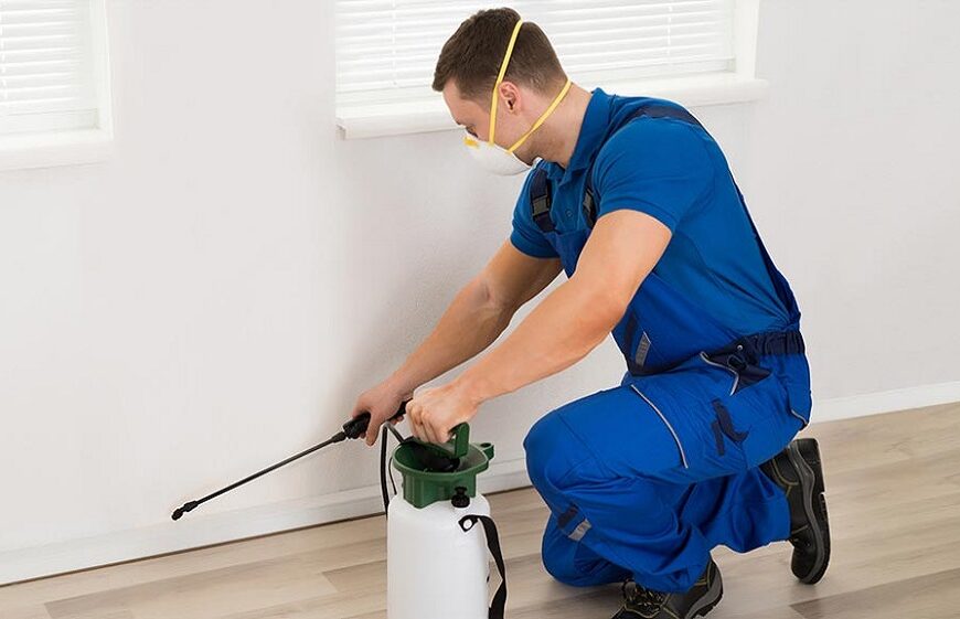 Termite Control Helps to Put an End to Termites Right Away