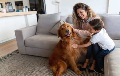 3 Tips to Find Pet-Friendly Apartments